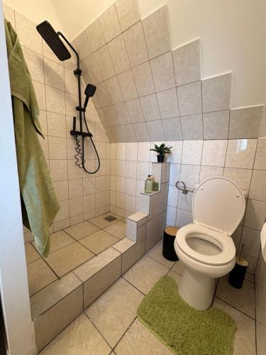 a bathroom with a shower and a toilet at Szőlők közt Apartman in Dunaszentmiklós