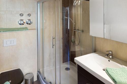 a bathroom with a shower and a sink and a toilet at Ferienwohnung am Roten Schloss in Glashütte