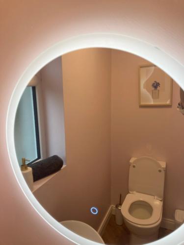 a bathroom with a white toilet and a mirror at 3 bedroom Beautiful Cosy Cottage in Killashandra