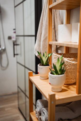 two potted plants sitting on a shelf in a bathroom at Planinska kuća Vista in Mrkopalj