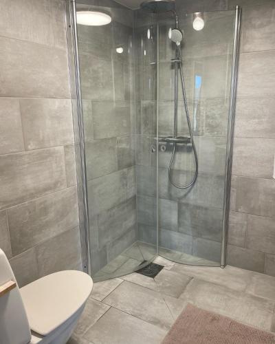 a bathroom with a shower and a toilet at Bergsbo Lodge in Halmstad