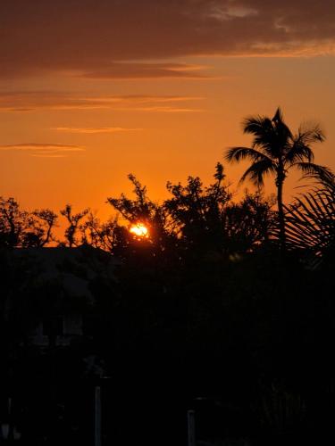a sunset with a palm tree in the foreground at Lighthouse Point A311 in Sanibel