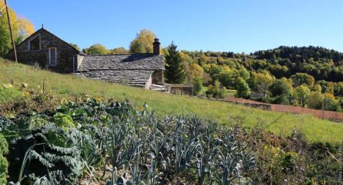 an old house on a hill with a field of plants at La Ferme du bien-être in Saint-Julien-Chapteuil