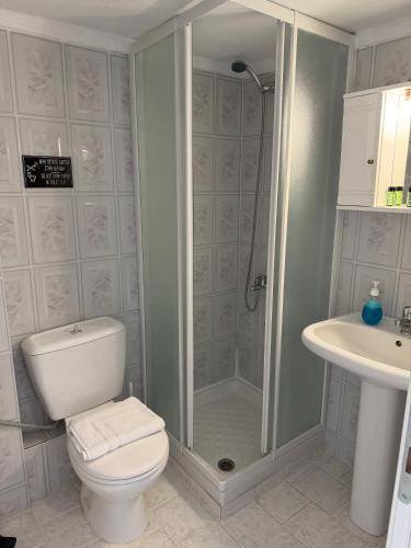 a bathroom with a shower and a toilet and a sink at Brother's House in Kallithea Halkidikis