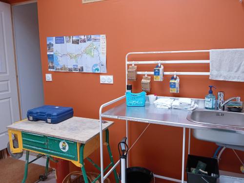 an orange room with a table and a sink at la pomme d'amour in Sully-sur-Loire