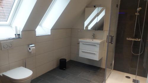 a bathroom with a shower and a toilet and a sink at Ferienwohnung an der Holtemme in Derenburg
