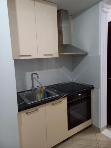Kuchyň nebo kuchyňský kout v ubytování Flodril Appartment