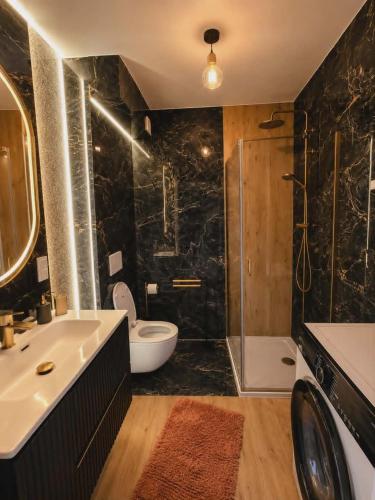 a bathroom with a toilet and a sink and a shower at Artystyczny Picasso apartament z widokiem na jezioro i tarasem in Charzykowy