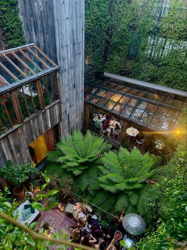 an overhead view of a garden with plants at The Mandrake in London
