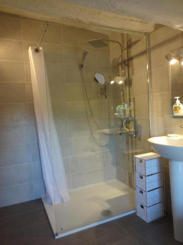 a bathroom with a shower and a sink at Bergerie L'Occitane in La Caunette