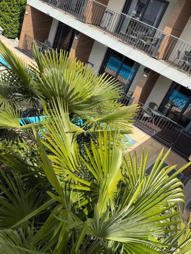 AVALON ideal gelegen zwischen Europapark und Rulantica — View (from property/room)
