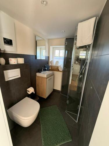 a bathroom with a toilet and a shower at FiO Ferienhäuser - Ferien in Ohne in Ohne