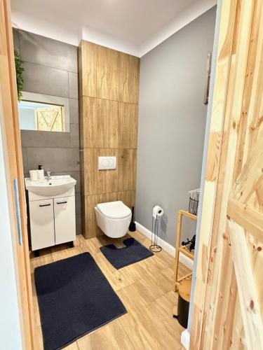 a bathroom with a toilet and a sink at Dom na wsi in Chmielno