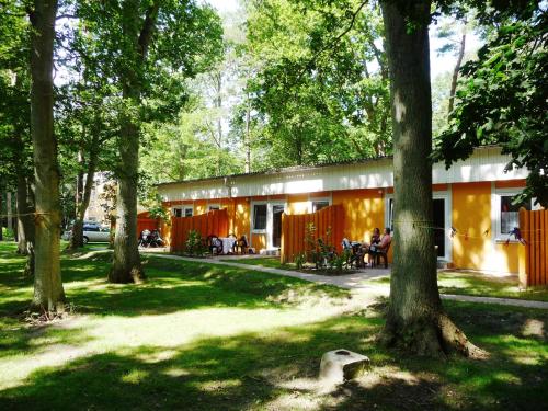 a building in a park with trees in front of it at Bernstein Appartements in Dranske