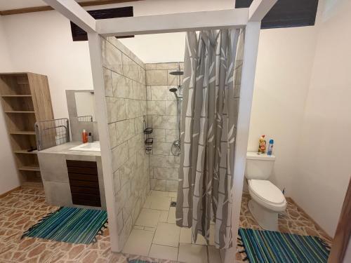 a bathroom with a shower and a toilet at Ohotu Lodge in Rangiroa