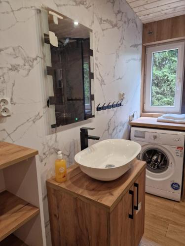 a bathroom with a sink and a washing machine at Leśny Staw Stodoła in Gilwa