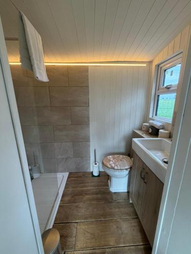 a small bathroom with a toilet and a sink at Lakeside Shepard's Hut 'Sanderling' in Bishampton