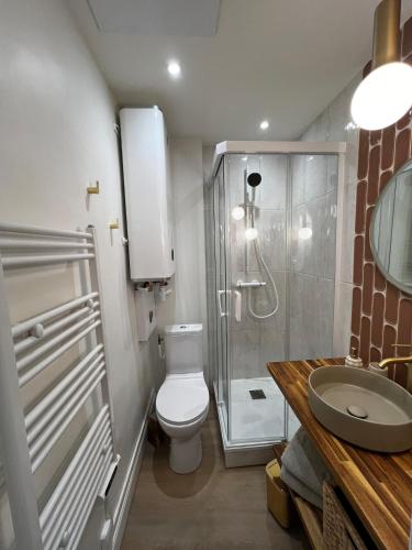 a bathroom with a toilet and a shower and a sink at Appartement hyper centre de Caen, refait à neuf, cosy in Caen