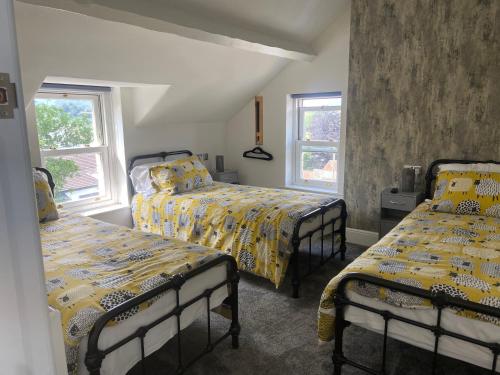 a bedroom with two beds and two windows at Martris House in Rhayader