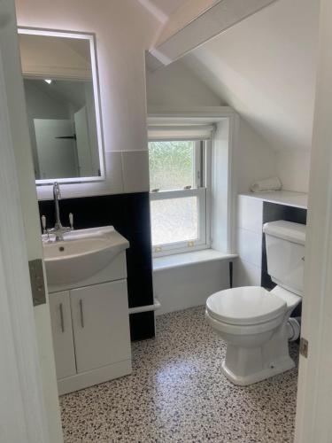 a bathroom with a toilet and a sink and a window at Martris House in Rhayader