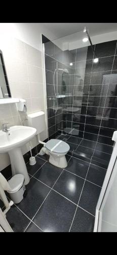 a bathroom with a shower and a toilet and a sink at Coquette in Petrila