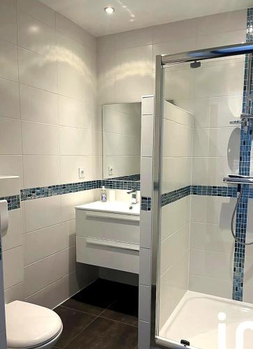 a bathroom with a shower and a sink and a toilet at Entre ciel et montagnes in Cauterets