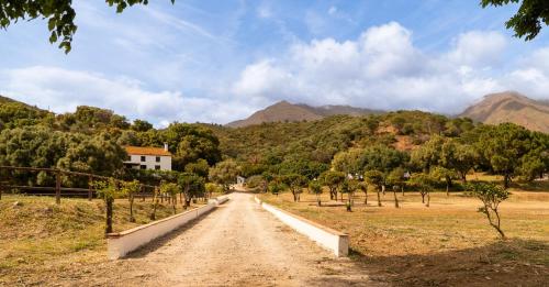 a dirt road in a field with mountains in the background at Finca Santa Teresa, Casa Grande in Estepona