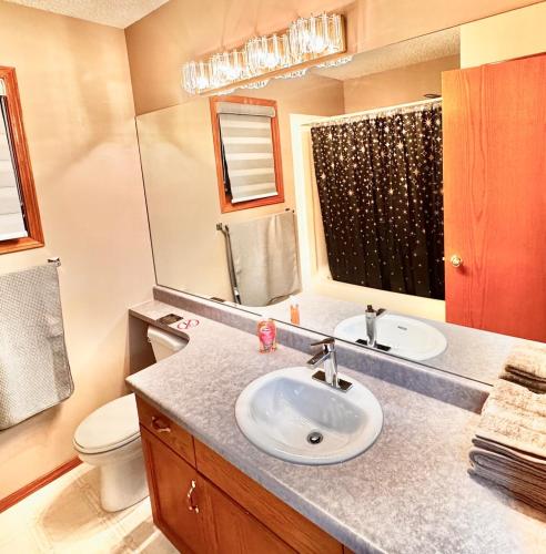 a bathroom with a sink and a toilet and a mirror at Belle-Rive - family friendly Guest House in Edmonton