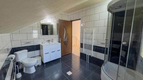 a bathroom with a toilet and a sink and a shower at Casa Maia Corbu in Corbu