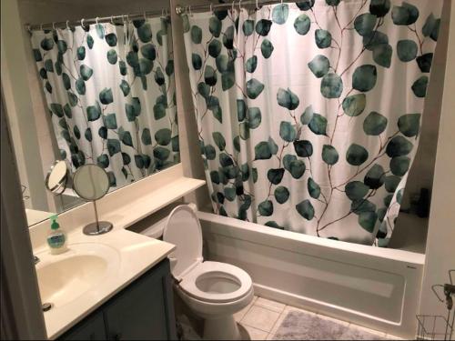 a bathroom with a toilet and a sink and a shower curtain at Downtown Toronto Condo in Toronto