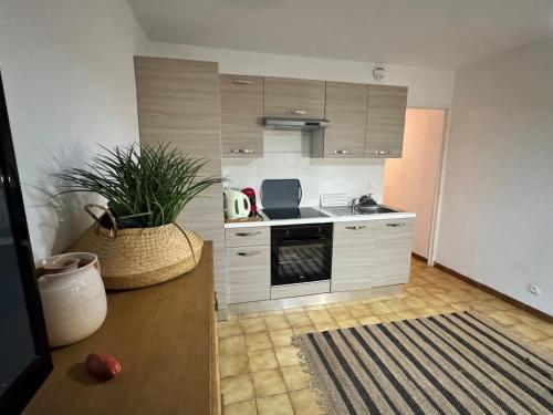 Appartement avec jardin « Le Méridien »