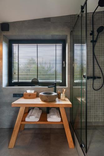 a bathroom with a sink and a glass shower at РІЗНОтрав'я in Solygy