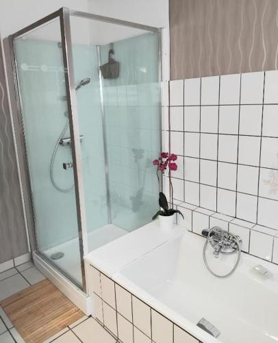a bathroom with a shower and a white sink at "Parenthèse Alsacienne" in Luttenbach-près-Munster