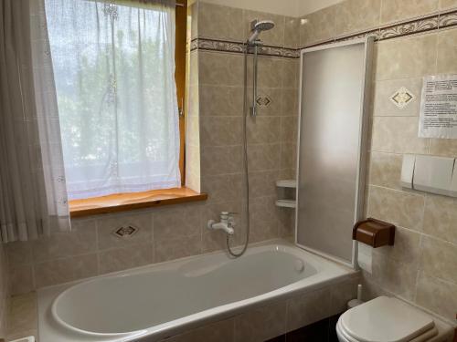 a bathroom with a tub and a toilet and a window at Villa Clelia in Auronzo di Cadore
