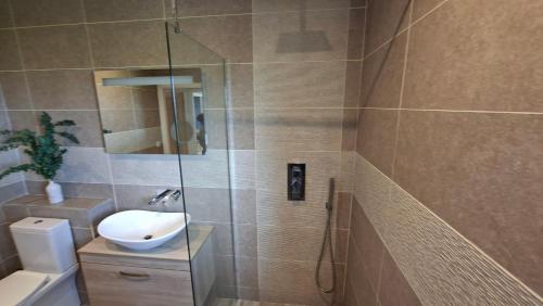 a bathroom with a shower with a sink and a toilet at Firthview Golspie in Golspie