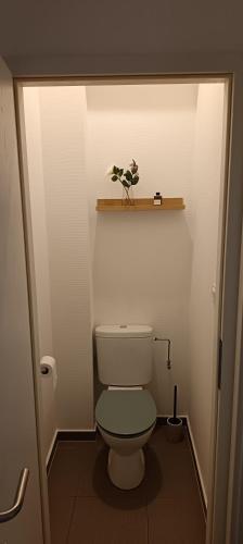 a bathroom with a toilet with a shelf above it at La terrasse du palais in Metz