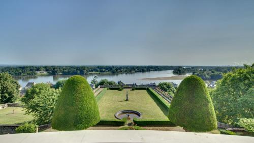 a view of a park with trees and a lake at Château de Candes - Art & Spa in Candes-Saint-Martin