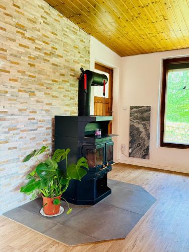a black stove in a room with a brick wall at Nature Bungalow in Ferch in Schwielowsee