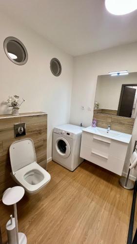 a bathroom with a toilet and a sink and a mirror at Escapade cosy proche nature in Saint Die