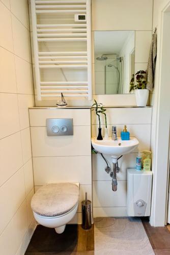 a bathroom with a toilet and a sink at Nature Bungalow in Ferch in Schwielowsee