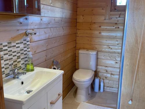 a bathroom with a toilet and a sink at Cosy Shepherd Huts and Cabin near Newborough, Anglesey in Gaerwen