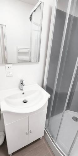 a white bathroom with a sink and a shower at Daubresse 85 A Centre-Gare-Aéroport in Charleroi