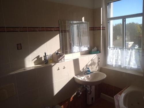 a bathroom with a sink and a mirror and a window at Ferienwohnung Schleich in Starkenberg