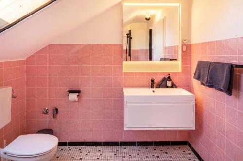 a bathroom with a toilet and a sink and a mirror at Urlaubsapartment Südsicht in Ihringen