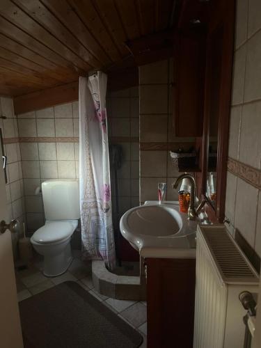 a bathroom with a toilet and a sink and a toilet istg at K-Loft Urban Athens in Pallini