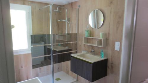 a bathroom with a shower and a sink and a mirror at Au petit moulin in Issigeac