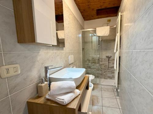 a bathroom with a sink and a shower at The Nest in Mandello del Lario