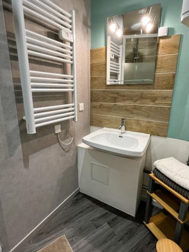 a bathroom with a sink and a mirror at Studio de l'étoile in Bavans