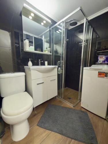 a bathroom with a toilet and a sink and a shower at Eleni’s Mountainview Central Studio by the Sea in Loutraki