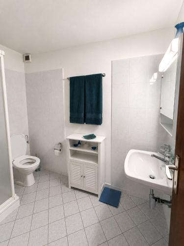 a white bathroom with a toilet and a sink at Cà di Gabriel in Miglieglia